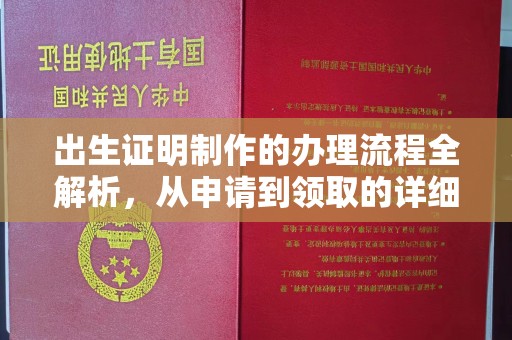 莒南出生证明制作的办理流程全解析，从申请到领取的详细指南